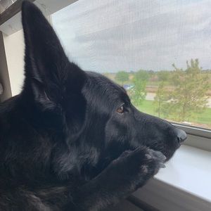 Meet your Posher, Nancy